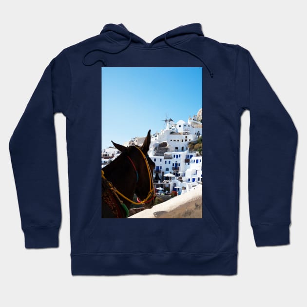 Donkey's View Of Oia, Santorini Hoodie by tommysphotos